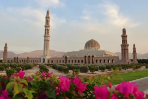 Best Cars for Traveling in Oman