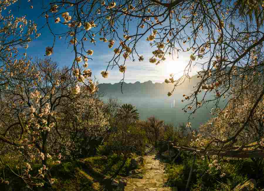 Autumn in Oman